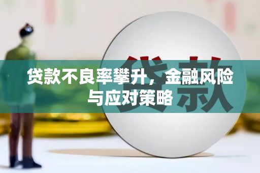 锡林浩特贷款不良率攀升，金融风险与应对策略