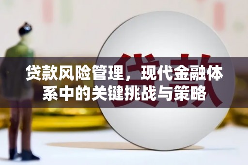锡林浩特贷款风险管理，现代金融体系中的关键挑战与策略