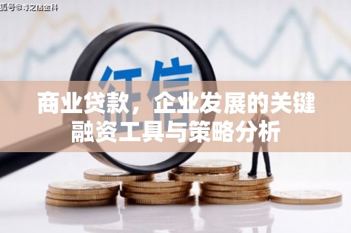 锡林浩特商业贷款，企业发展的关键融资工具与策略分析