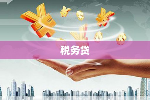锡林浩特税务贷