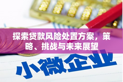 锡林浩特探索贷款风险处置方案，策略、挑战与未来展望