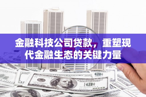 锡林浩特金融科技公司贷款，重塑现代金融生态的关键力量