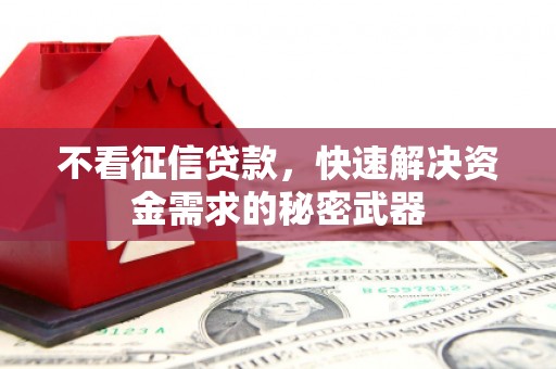 锡林浩特不看征信贷款，快速解决资金需求的秘密武器