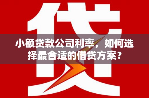 锡林浩特小额贷款公司利率，如何选择最合适的借贷方案？