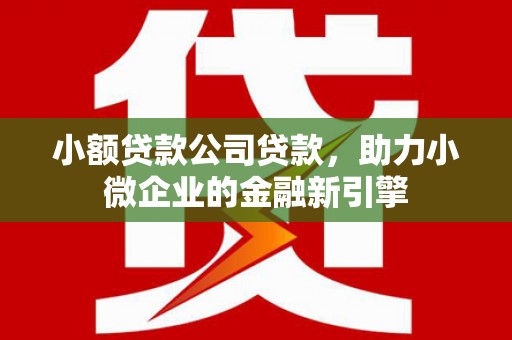 锡林浩特小额贷款公司贷款，助力小微企业的金融新引擎