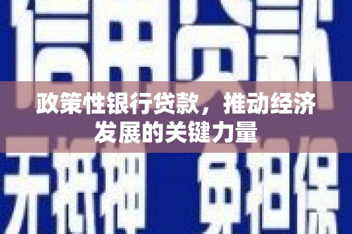 锡林浩特政策性银行贷款，推动经济发展的关键力量